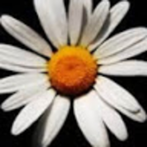 Meet your Posher, Laura - Picture 1 of 1